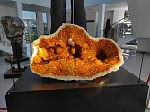 Unikátní velká citrínová drůza s citrínovými krápníky a kalcity z jižní Brazílie ze státu Rio Grande do Sul je novým vzácným exponátem Galerie minerálů ve Dvoře Králové nad Labem.
