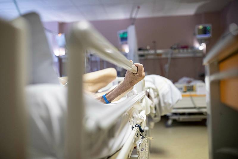 Covidová oddělení v trutnovské nemocnici zažila zlé časy především v lednu a únoru. Teď už jsou zrušená, v nemocnici není v současné době hospitalizovaný žádný pacient s covidem-19.