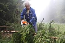 Možnost přijet si pro palivové dřevo na topení z lesů Krkonošského národního parku za symbolickou cenu využívá také Ivo Hlávka z Vrchlabí.