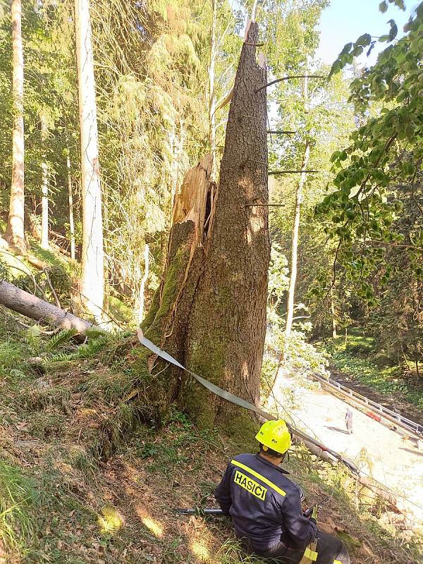 Na silnici mezi Temným Dolem a Malou Úpou spadl strom na projíždějící auto, zabil dvě ženy a jednoho chlapce.