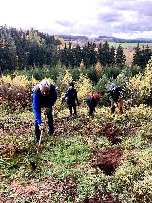 Dobrovolníci zasadili sazenice dubů v lokalitě Houska při akci 1000 stromů pro Trutnov.