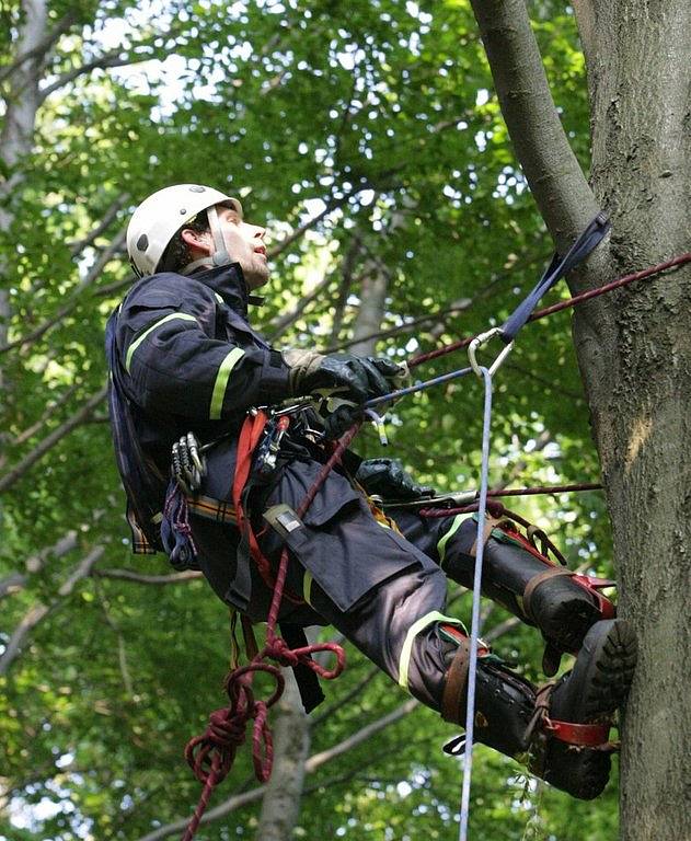 V neděli uvízl polský paraglidista v koruně stromu na zalesněném svahu u Semil. K místu vyjeli hasiči, záchranka i PČR, na místě byl i vrtulník. Nehoda se obešla bez zranění.