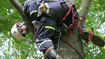 V neděli uvízl polský paraglidista v koruně stromu na zalesněném svahu u Semil. K místu vyjeli hasiči, záchranka i PČR, na místě byl i vrtulník. Nehoda se obešla bez zranění.