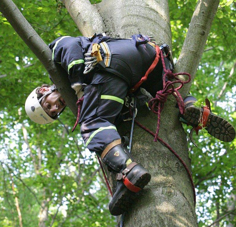 V neděli uvízl polský paraglidista v koruně stromu na zalesněném svahu u Semil. K místu vyjeli hasiči, záchranka i PČR, na místě byl i vrtulník. Nehoda se obešla bez zranění.