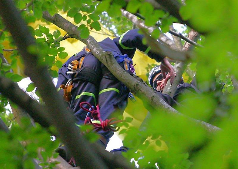 V neděli uvízl polský paraglidista v koruně stromu na zalesněném svahu u Semil. K místu vyjeli hasiči, záchranka i PČR, na místě byl i vrtulník. Nehoda se obešla bez zranění.