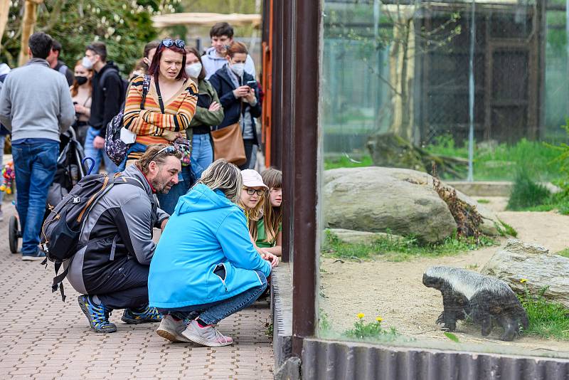 V sobotu dorazilo do Safari Parku Dvůr Králové 3374 lidí.