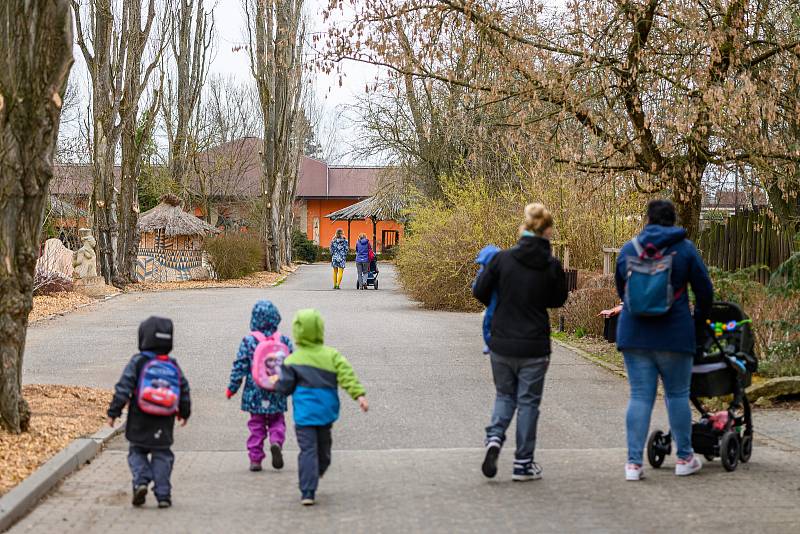 Do Safari Parku Dvůr Králové přišly první den po otevření zoologických zahrad čtyři stovky návštěvníků.