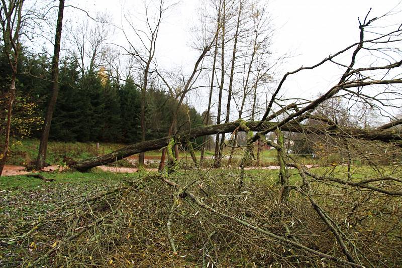 Dnešní vichřice v Horní Kalné na Trutnovsku, kde spadl strom a je rozvodněný Kalenský potok. 