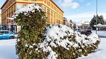 Sněhová nadílka v Trutnově.