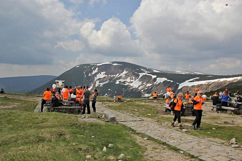 Charitativní výstup Na Sněžku pro Evču, organizovaný nadačním fondem KlaPeto, vynesl rekordních 1 577 000 korun.