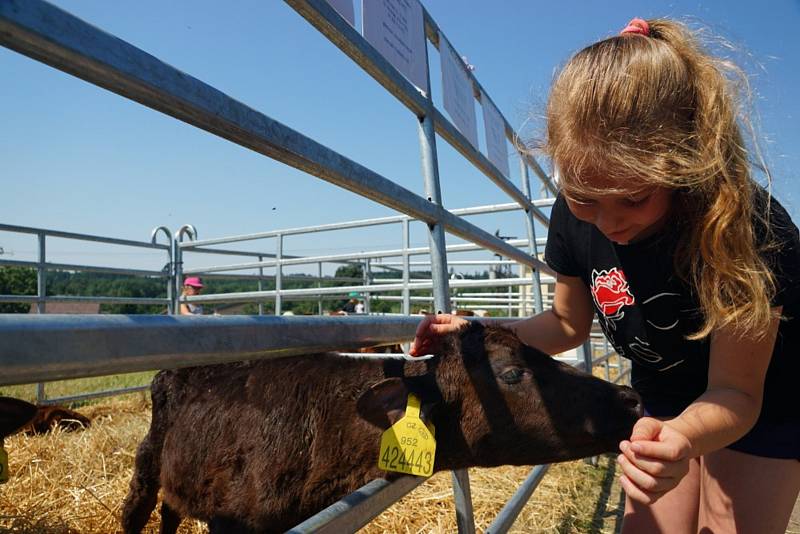 Farmáři z Voletin na okraji Trutnova ukázali dětem současné zemědělství.