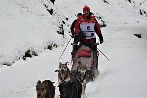 Vítěz 29. ročníku závodu psích spřežení Ledová jízda v Krkonoších Jiří Vondrák z Rudníku přijíždí do cíle v Dolním Dvoře.
