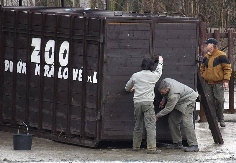 Transport indických nosorožců ze zoo Dvůr Králové do Portugalska