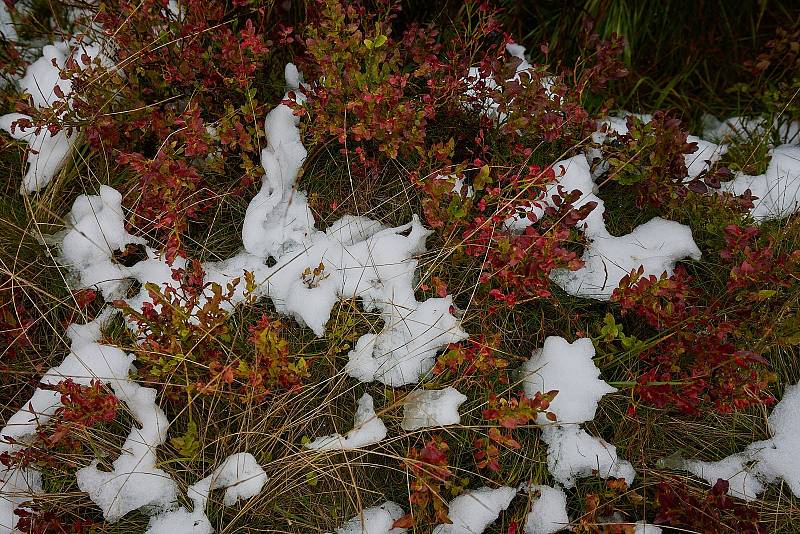 První sníh v Krkonoších napadl už v neděli 18. září 2022