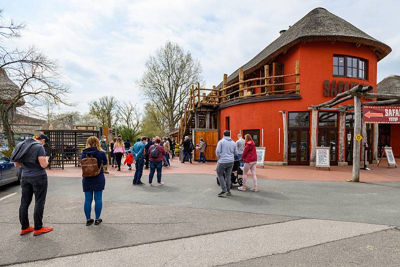 V sobotu dorazilo do Safari Parku Dvůr Králové 3374 lidí.