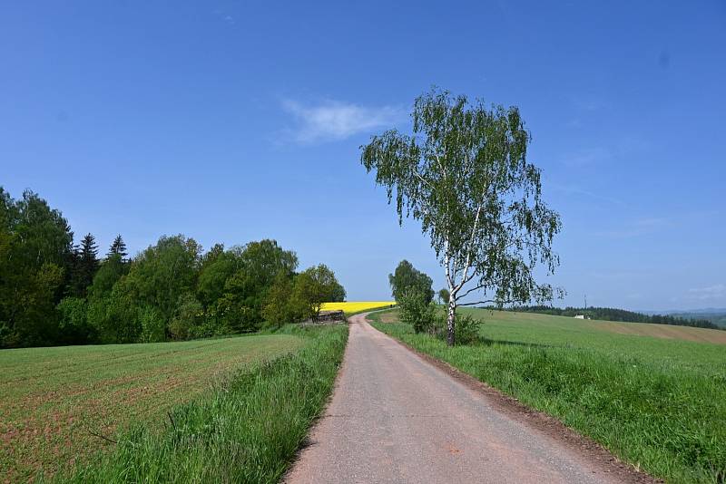 Pochod Karla Klíče pořádal 20. května KČT Hostinné. Nabídl sedm tras pro pěší i cyklisty. Počasí bylo parádní a akci si užilo 145 účastníků.