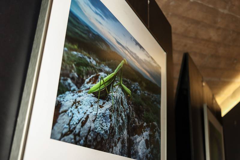 Ve Vrchlabí začala výstava Czech Nature Photo 2020.