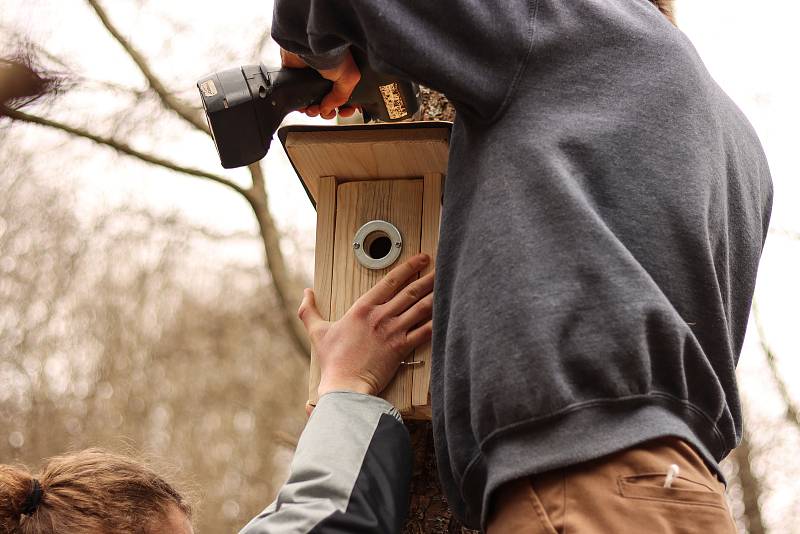 Studenti České lesnické akademie v Trutnově umístili v lese v osadě Bystřice u Mladých Buků ptačí budky.