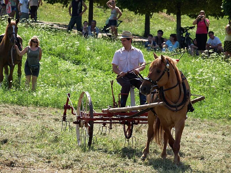 Slavnosti koní, řemesel a historie v Kuksu 2013