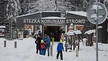 Zimní Stezka korunami stromů Krkonoše.