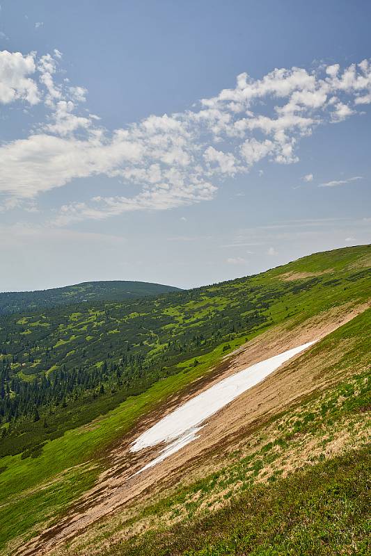 Krkonošská příroda, nafocená 1. července 2019.