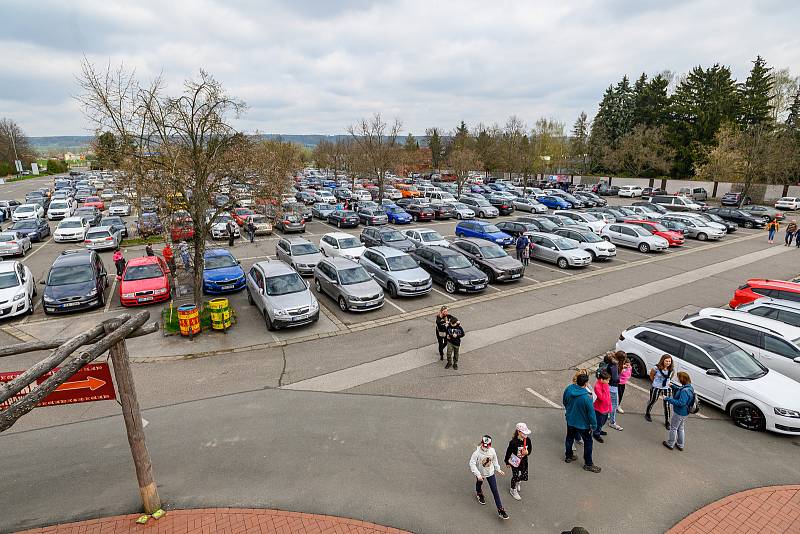 V sobotu dorazilo do Safari Parku Dvůr Králové 3374 lidí.