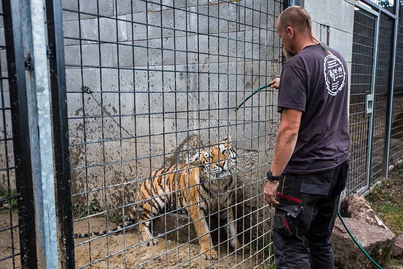 Nejpozoruhodnějším místem je středověký hrad v Černé Vodě u Žacléře, který si tam postavil Martin Zeman. Jeho hrad není veřejně přístupný, nicméně občas tam nějaké návštěvy zabrousí. Pumu, lva, lvice a nově i tygra chová soukromý majitel.