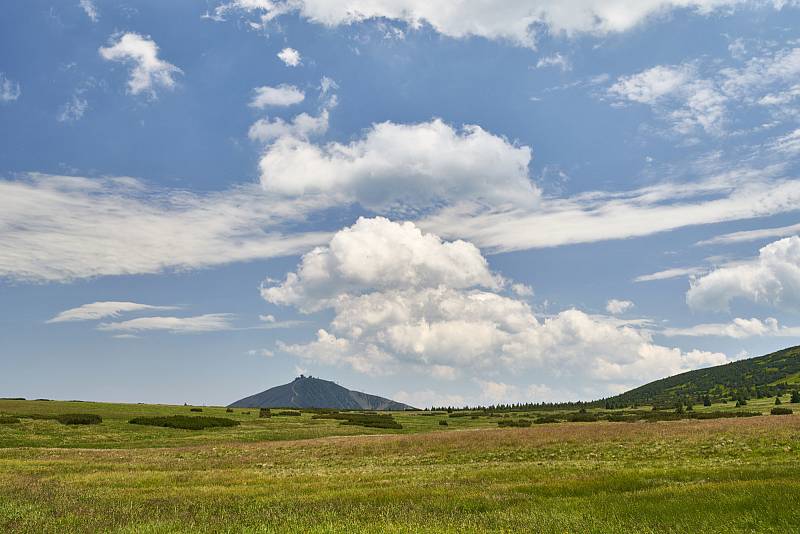 Krkonošská příroda, nafocená 1. července 2019.