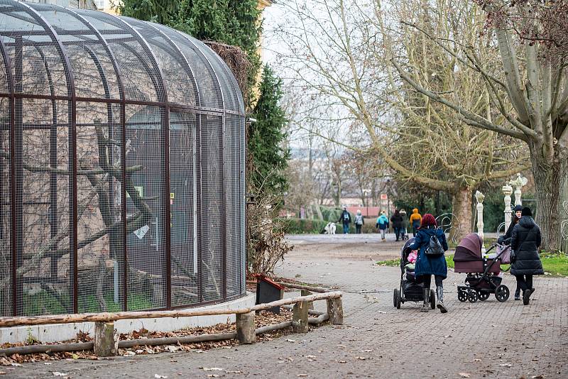 Safari Park Dvůr Králové otevřel brány návštěvníkům 3. prosince. Lidé tam přijeli během víkendu na výlet.