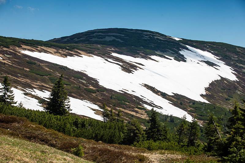 Tropické počasí v nížinách a na hřebenech Krkonoš se stále drží v některých místech i několik metrů sněhu.