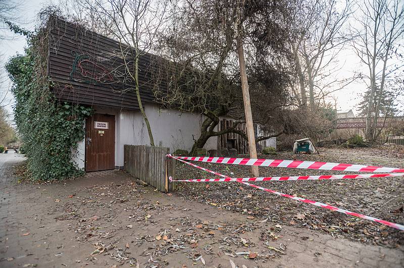 Safari Park Dvůr Králové otevřel brány návštěvníkům 3. prosince. Lidé tam přijeli během víkendu na výlet.