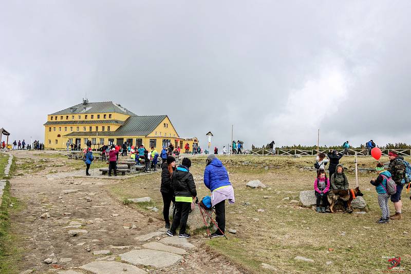 Sobotní charitativní výstup na Sněžku z Pece pod Sněžkou se letos konal pro trojčátka Amálku, Žofinku a Viktorku.