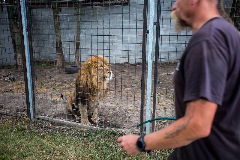 Nejpozoruhodnějším místem je středověký hrad v Černé Vodě u Žacléře, který si tam postavil Martin Zeman. Jeho hrad není veřejně přístupný, nicméně občas tam nějaké návštěvy zabrousí. Pumu, lva, lvice a nově i tygra chová soukromý majitel.