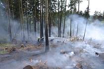 U Studence hořel hektar lesního porostu.