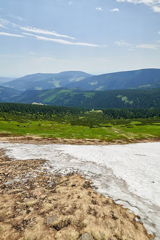 Krkonošská příroda, nafocená 1. července 2019.