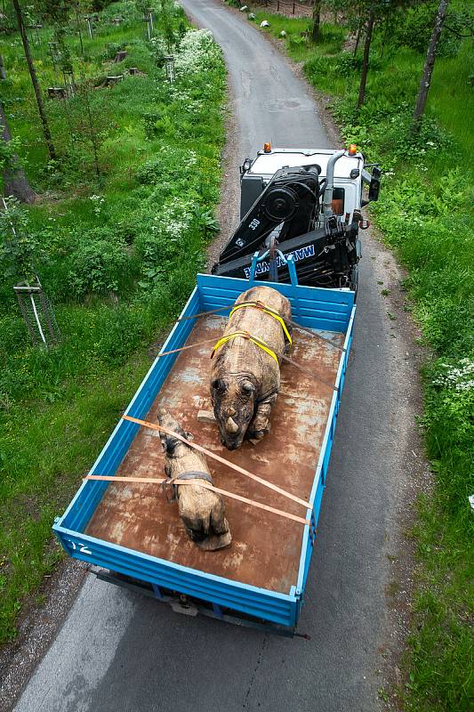 Na Stezce korunami stromů Krkonoše v Janských Lázních byly v úterý instalovány dvě sochy nosorožců od dřevosochaře Martina Kučery z Nového Bydžova.