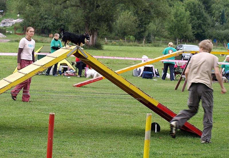 Závody nejmenších psů v agility, Čivava Cup 2009 ve Dvoře Králové