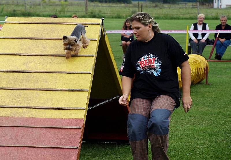 Závody nejmenších psů v agility, Čivava Cup 2009 ve Dvoře Králové