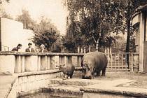 Královédvorská zoo si připomíná 76 let ode dne, kdy se brány otevřely veřejnosti.