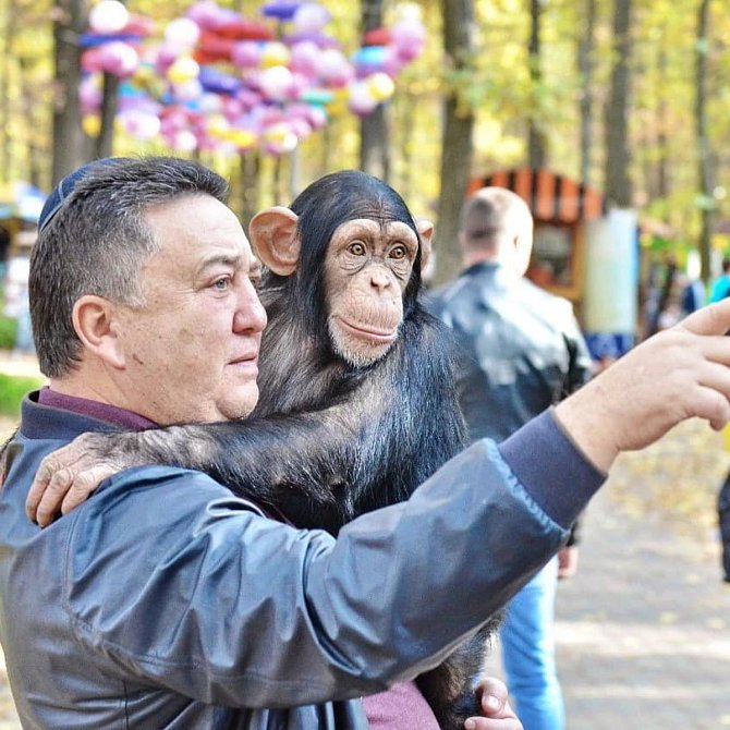 Místo idylky hrůzy války. Ekopark Feldman v Charkovské oblasti bombardují ruští vojáci.