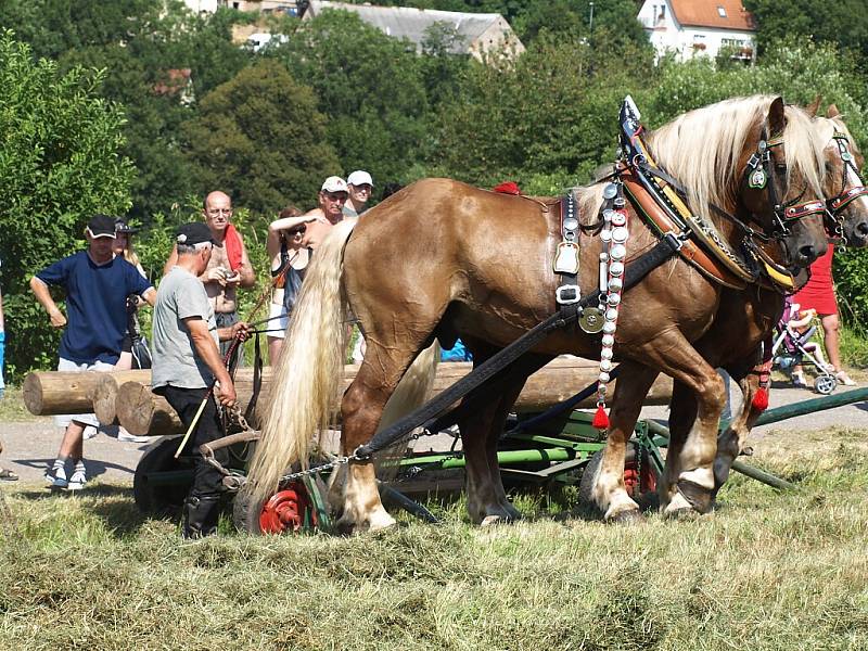 Slavnosti koní, řemesel a historie v Kuksu 2013