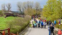 V sobotu dorazilo do Safari Parku Dvůr Králové 3374 lidí.