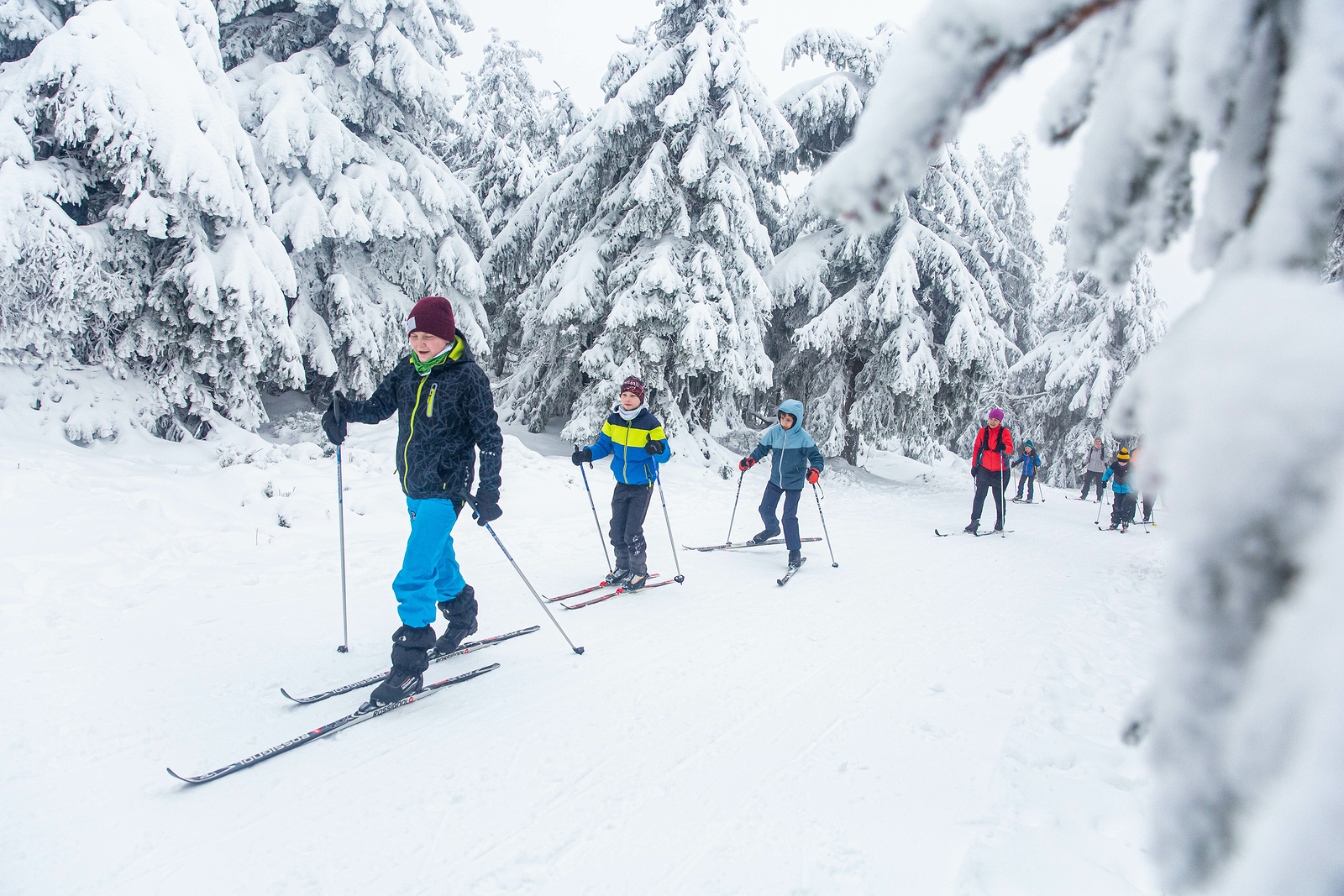 FOTO: Běžkaři vyrazili na Černou horu. Přestanou skiareály upravovat bílé  stopy? - Krkonošský deník