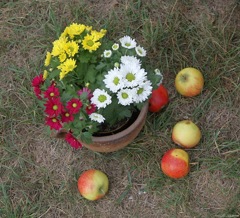 Food festival v klášterní zahradě.