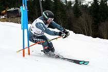 Během víkendu 9. a 10. března se v Peci pod Sněžkou uskutečnil další ročník FIS Masters Cup v České republice.