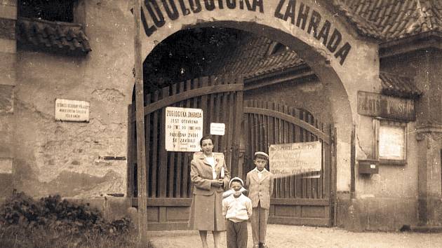 V počátcích fungování se do zoologické zahrady vcházelo z tehdejší ulice Z. Nejedlého (dnes Štefánikova), asi 20 minut pěší chůze z centra města. Byla to jediná přístupová cesta jak pro návštěvníky, tak i pro zaměstnance.