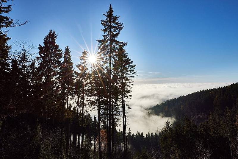 Krásy Krkonoš v listopadu 2020 pohledem trutnovského fotografa Miloše Šálka.