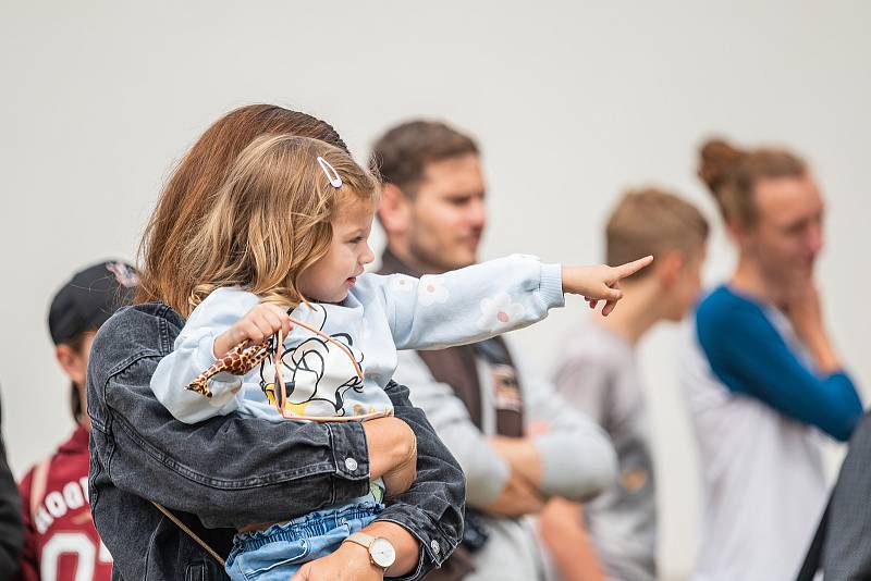 V Safari Parku Dvůr Králové už návštěvníci mohou vidět tučňáky brýlové. Nová expozice za 43 milionů korun je největší v Česku a na Slovensku