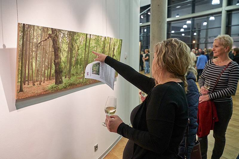 Galerie Uffo představuje Zelené obrazy.