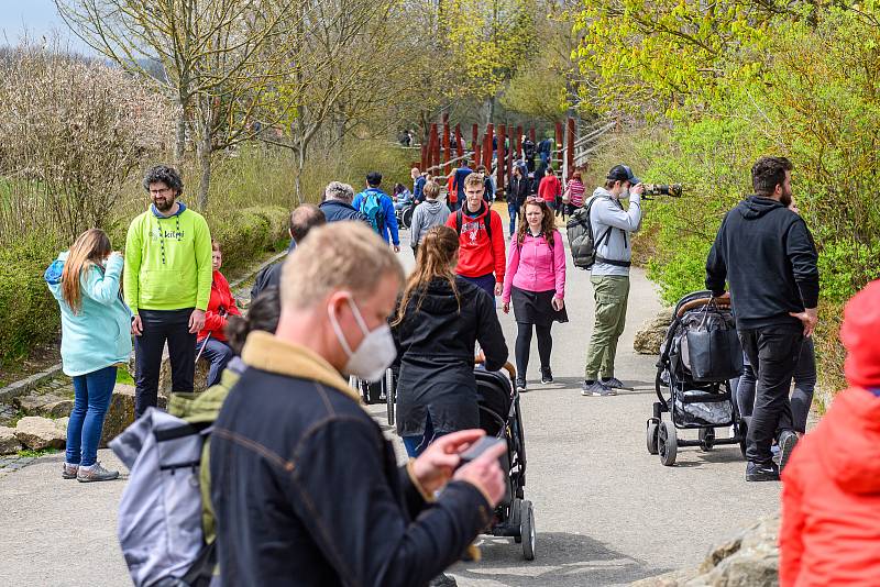 V sobotu dorazilo do Safari Parku Dvůr Králové 3374 lidí.